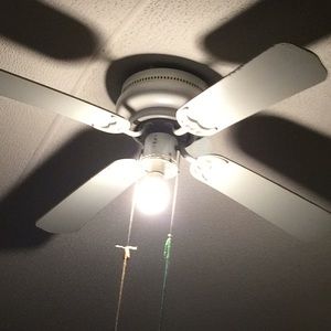 Meet your Posher, Zenaida